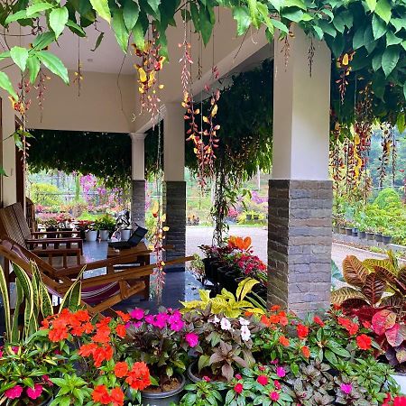 Flower Valley Plantation Homestay Munnar Exterior photo