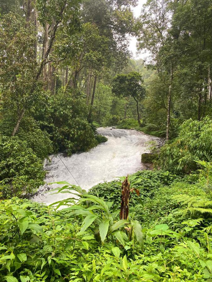 Flower Valley Plantation Homestay Munnar Exterior photo